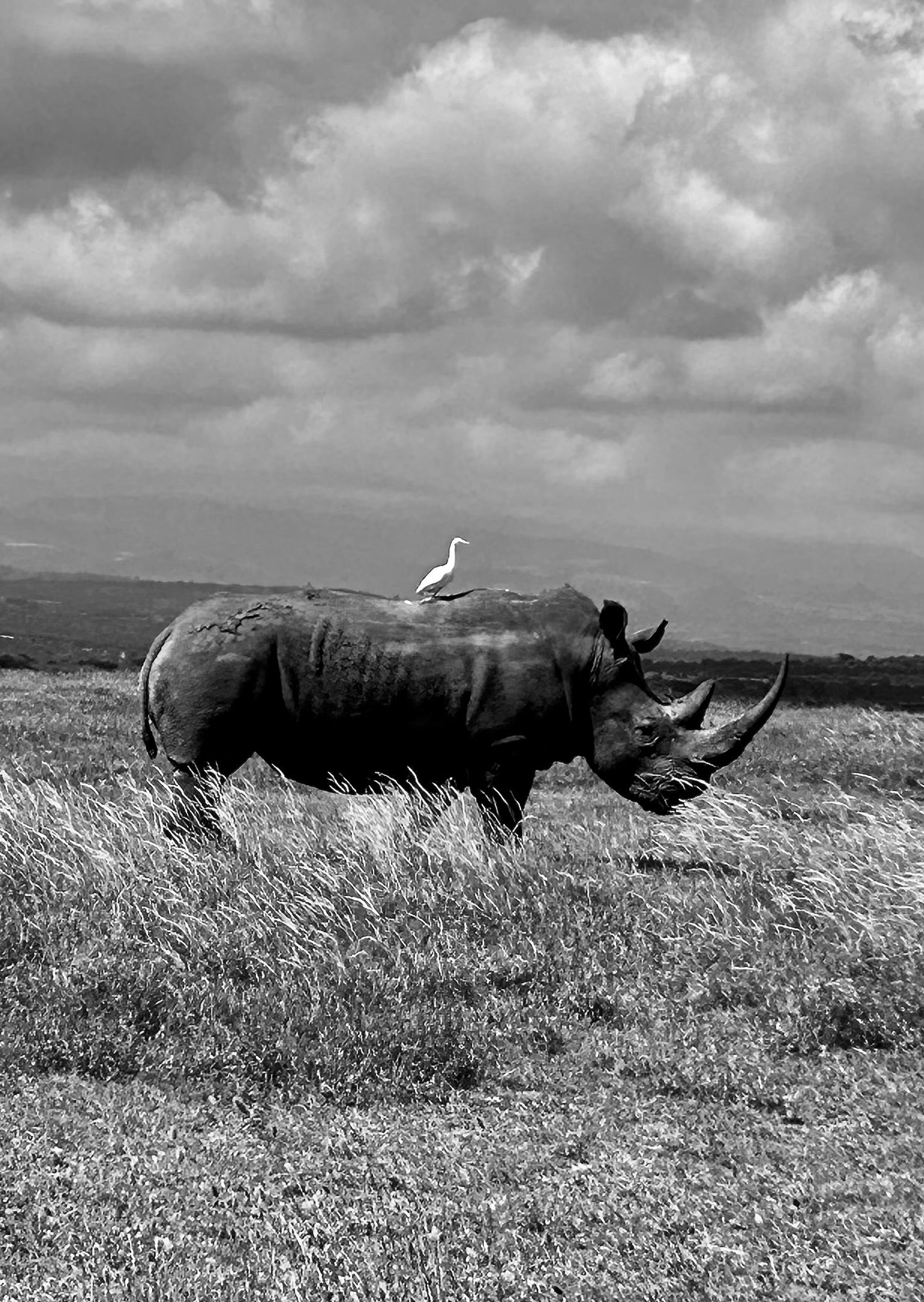 A Postcard from NOUÏKKA: Magical Kenya